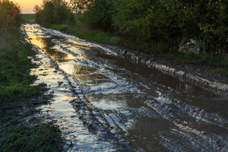 Téléchargez les photos : Vanishing dirt road with deep rut and puddles in village at sunset. - en image libre de droit