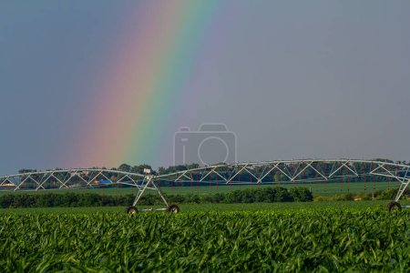 Large irrigation system in a green field, with a beautiful rainbow forming in the spray against a backdrop of cloudy skies.