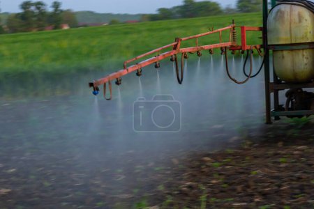 Tractor pulverización de pesticidas en el campo vegetal con pulverizador en primavera.