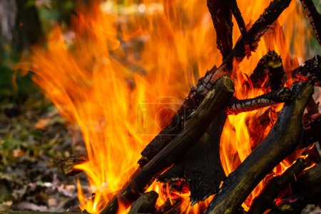 Flammendes Holzkohlefeuer. Erde zum Kochen und Heizen. Gefahr im Wald.