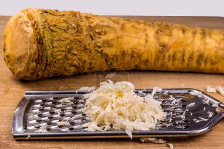 Photo for Horseradish, whole piece and grated - Royalty Free Image