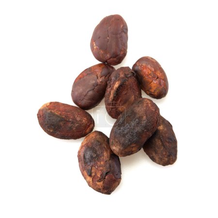 Close-up Grano de cacao sin pelar aislado sobre un fondo blanco