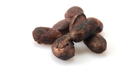 Décryptages Fève de cacao non pelée isolée sur fond blanc