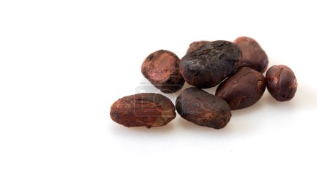 Nahaufnahme Ungeschälte Kakaobohne isoliert auf weißem Hintergrund