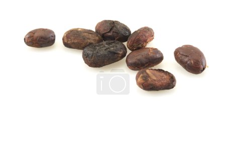 Nahaufnahme Ungeschälte Kakaobohne isoliert auf weißem Hintergrund