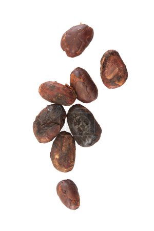 Close-up Unpeeled cocoa bean isolated on a white background