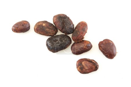 Photo for Close-up Unpeeled cocoa bean isolated on a white background - Royalty Free Image