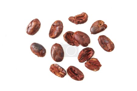 Dried cocoa beans isolated on a white background, top view