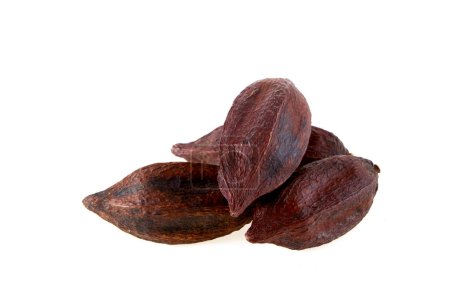 Draufsicht auf getrocknete Kakaofrüchte isoliert auf weißem Hintergrund