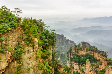 Natürliche Quarzsandsteinsäulen des Tianzi-Gebirges (Avatargebirge) im Zhangjiajie National Forest Park, Provinz Hunan, China. Sommerlandschaft.