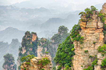 Foto de Pilares de piedra arenisca de cuarzo natural de las montañas Tianzi (montañas Avatar) en el Parque Forestal Nacional Zhangjiajie, provincia de Hunan, China. Paisaje verano. - Imagen libre de derechos