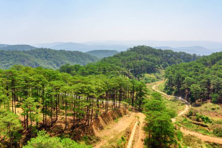 Fantastische Luftaufnahme von immergrünen Kiefernwäldern rund um Da Lat (Dalat), Vietnam. Dalat ist ein beliebtes Touristenziel in Asien.