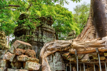 Foto de Misteriosas ruinas del templo de Ta Prohm en la antigua Angkor, Siem Reap, Camboya. Angkor es una atracción turística popular. - Imagen libre de derechos