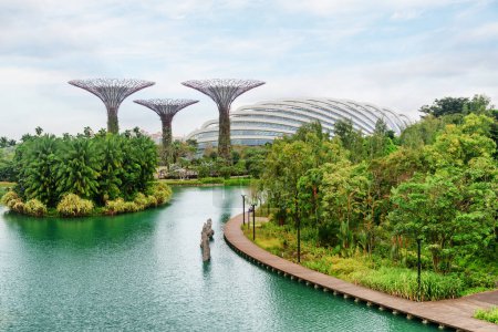 Foto de Singapur - 18 de febrero de 2017: Impresionante vista de Gardens by the Bay. Lago artificial escénico y los Superárboles. Singapur es un destino turístico popular de Asia. - Imagen libre de derechos