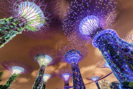 Foto de Singapur - 18 de febrero de 2017: Maravillosa vista nocturna de los Superárboles y el Skyway en Gardens by the Bay. Estructuras gigantes similares a árboles y jardines verticales son una atracción turística popular. - Imagen libre de derechos
