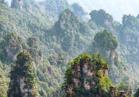 Foto de Impresionante vista de los pilares de piedra arenisca de cuarzo natural de las montañas Tianzi (montañas Avatar) en el Parque Forestal Nacional Zhangjiajie, provincia de Hunan, China. Fabuloso paisaje. - Imagen libre de derechos