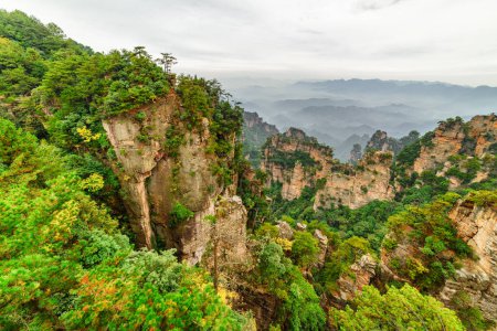 Téléchargez les photos : Piliers en grès de quartz naturel des monts Tianzi (monts Avatar) dans le parc forestier national de Zhangjiajie, province du Hunan, Chine. Paysage d'été. - en image libre de droit
