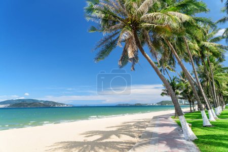 Foto de Impresionante vista de la bahía de Nha Trang del Mar de China Meridional y la playa central de Nha Trang, Vietnam. Palmeras y playa tropical de arena blanca en la ciudad costera. La isla Hon Tre es visible en el fondo. - Imagen libre de derechos