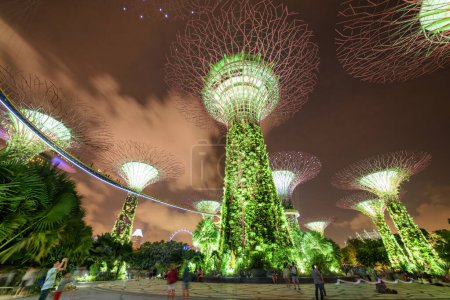Foto de Singapur - 18 de febrero de 2017: Vista panorámica del fondo nocturno del Supertree Grove con el Skyway en Gardens by the Bay. Las estructuras gigantes iluminadas del árbol-como son atracción turística popular de Asia. - Imagen libre de derechos