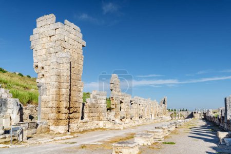 Téléchargez les photos : Ruines panoramiques de Perge (Perga) dans la province d'Antalya, Turquie. Vue imprenable sur la ville grecque antique. Perge est une destination touristique populaire en Turquie. - en image libre de droit