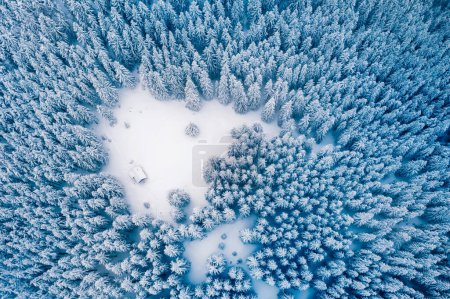 Von oben nach unten fliegen Drohnen über winterliche Fichten- und Kiefernwälder mit Holzhütte. Tannenbäume im schneebedeckten Bergtal. Landschaftsfotografie