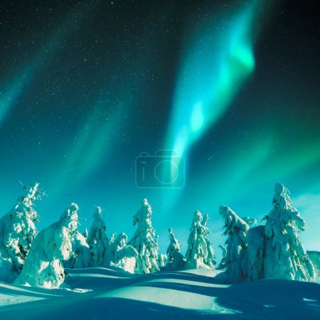 Foto de Aurora boreal. Luces boreales en bosque invernal. Cielo con luces polares y estrellas. Paisaje nocturno de invierno con aurora y bosque de pinos. Concepto de viaje - Imagen libre de derechos