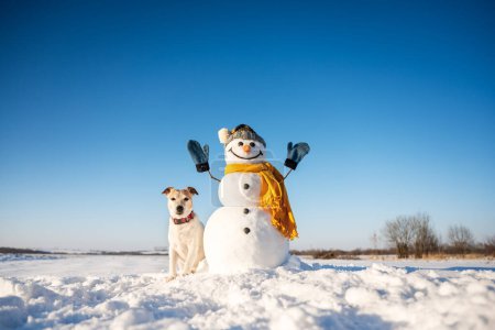 Téléchargez les photos : Funny snowman in knitted hat and yellow scalf with jack russel terrier puppy on snowy field. Blue sky on background - en image libre de droit