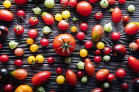 Téléchargez les photos : Different varieties kind of red, yellow, green and black tomato mix on wooden table. Fresh assorted colorful summer tomatoes background, close up. Food photography - en image libre de droit