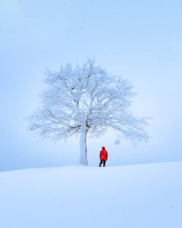 Téléchargez les photos : Paysage incroyable avec un arbre neigeux solitaire dans un champ d'hiver. Scène minimaliste par temps nuageux et brumeux - en image libre de droit