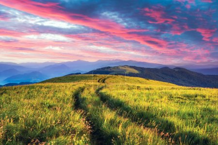Photo for Rural road and beautyful pink dramatic sky. Amazing scene in summer mountains. Lush green grassy meadows in fantastic evening sunset light. Landscape photography - Royalty Free Image