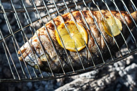 Dorada-Fisch mit Zitronenstücken auf dem Grill grillen. Lebensmittel-Fotografie