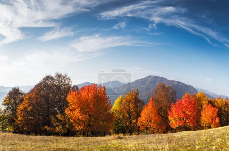 Téléchargez les photos : Panorama des montagnes pittoresques d'automne avec une forêt de hêtres rouges au premier plan. Photographie de paysage - en image libre de droit