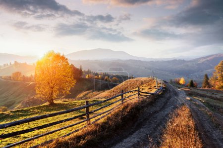 Téléchargez les photos : Superbe scène rurale sur les montagnes d'automne. Arbres jaunes et orangers dans la lumière du soleil du soir fantastique. Carpates, Ukraine, Europe. Photographie de paysage - en image libre de droit