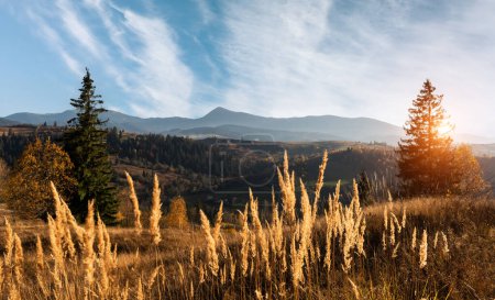 Téléchargez les photos : Scène incroyable sur les montagnes d'automne. Arbres jaunes et orangers dans la lumière du soleil du matin fantastique. Photographie de paysage - en image libre de droit