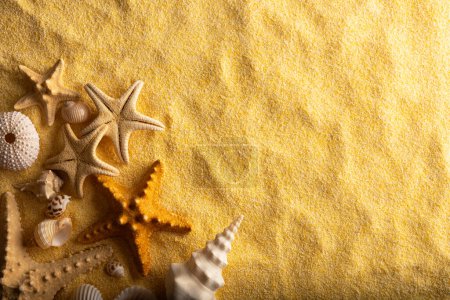 Téléchargez les photos : Vacations and summer time concept with starfish and sea shells on a clear yellow beach sand. Sea and ocean vacation background - en image libre de droit