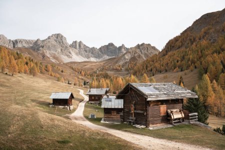 Foto de Increíble vista de otoño en el valle de Valfreda en los Alpes Dolomitas italianos. Cabañas de madera, hierba amarilla, bosque de alerces anaranjados y montañas nevadas en el fondo. Dolomitas, Italia. Paisaje fotografía - Imagen libre de derechos