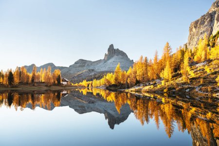 Foto de Pintoresca vista del lago Federa al amanecer. Paisaje montañoso otoñal con Lago di Federa y alerces anaranjados brillantes en los Dolomitas Apls, Cortina DAmpezzo, Tirol del Sur, Dolomitas, Italia - Imagen libre de derechos