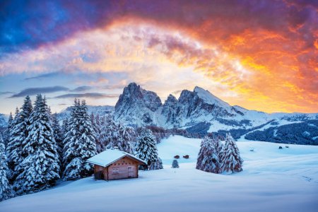 Photo for Picturesque landscape with small wooden log cabin on meadow Alpe di Siusi on sunset time. Seiser Alm, Dolomites, Italy. Snowy hills with orange larch and Sassolungo and Langkofel mountains group - Royalty Free Image