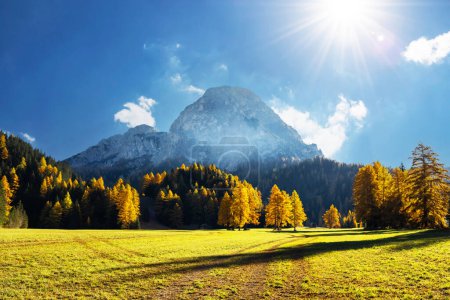 Téléchargez les photos : Incroyable vue d'automne sur les Alpes Dolomites italiennes. La forêt de mélèzes orange et les montagnes brumeuses culminent sur le fond. Dolomites, Italie. Photographie de paysage - en image libre de droit