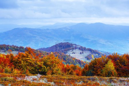 Téléchargez les photos : Montagnes d'automne avec forêt orange et collines bleues. Photographie de paysage - en image libre de droit