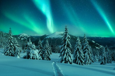 Foto de Aurora boreal. Luces boreales en bosque invernal. Increíble paisaje nocturno con coníferas cargadas de nieve en un claro invernal de montaña con un rastro grabado a través de la nieve - Imagen libre de derechos