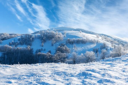 Photo for An awe-inspiring landscape of a mountain range and snow-covered hills during the winter season. The forest, adorned with frost, gleams beneath the radiant and inviting light of the early morning sun - Royalty Free Image