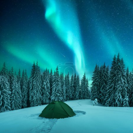 Téléchargez les photos : Tente verte et sapins enneigés dans un défrichement hivernal au milieu des montagnes sur fond de ciel étoilé incroyable avec Aurora borealis. Aurores boréales dans le ciel nocturne - en image libre de droit