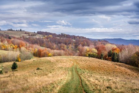 Téléchargez les photos : Herbe jaune sèche et route rurale dans les montagnes d'automne. Montagnes colorées et ciel nuageux om fond. Photographie de paysage - en image libre de droit