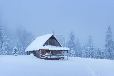 Téléchargez les photos : Une cabane de montagne isolée au milieu d'un bosquet enneigé de sapins sur un plateau boisé en hiver. Noël vacances et vacances d'hiver concept - en image libre de droit