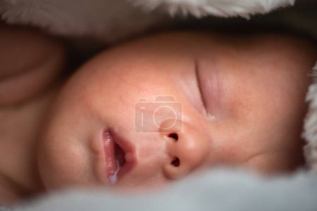 Téléchargez les photos : Gros plan du visage d'un nouveau-né endormi, enveloppé dans une couverture moelleuse chaude - en image libre de droit