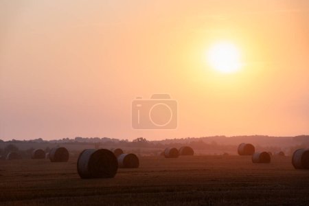 Téléchargez les photos : Coucher de soleil brillant sur des balles rondes de foin sec sur un champ agricole. Paysage rural avec rouleaux de paille et ciel spectaculaire au lever du soleil - en image libre de droit