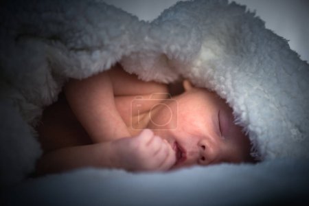 Photo for Little innocent sleeping newborn baby boy wrapped in a warm fluffy blanket - Royalty Free Image