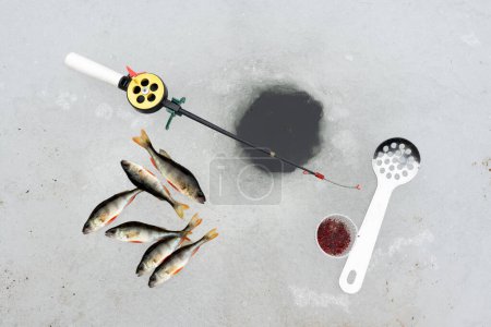 Foto de Concepto de pesca de invierno con caña de pescar, cebo de gusano de sangre y captura de peces perca cerca del agujero de hielo - Imagen libre de derechos