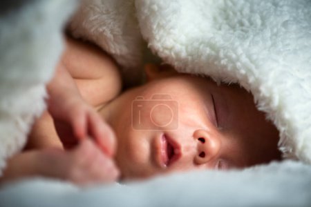 Foto de Un niño pequeño y angelical recién nacido duerme pacíficamente, envuelto en una acogedora y suave manta mullida - Imagen libre de derechos